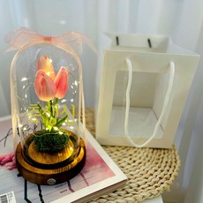 Lovelyfarm LED玻璃圓頂簡約款+鬱金香+字母貼紙+獨家購物袋, 粉紅色