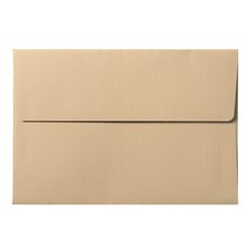 2Youngdesign 橫式明信片信封組 隨機出貨, 100入, 棕色