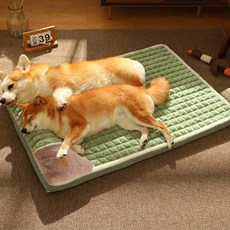 DING DONG PET Snuggle 記憶棉狗狗坐墊, 薄荷綠