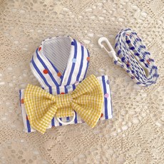 Coco studio 狗狗頸胸帶 + Waikiki胸背帶套組, 1套, 藍色