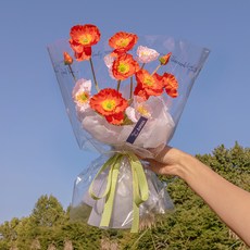 아스파시아 조화 포피 양귀비 투명 꽃다발, 오렌지, 1개