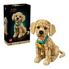 LEGO ICONS 小黃金獵犬 Golden Retriever Puppy 11384, 混和顏色, 1個