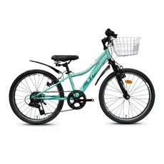 알톤스포츠 2023 MTB 자전거 갤럽 22SF 미조립 박스배송, 민트, 142cm, 1개