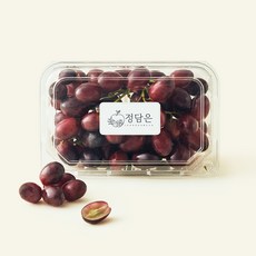 호주산 비밥포도, 1개, 600g
