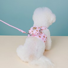 Lanboer 狗狗Very Bear背包胸背帶組, 粉紅色