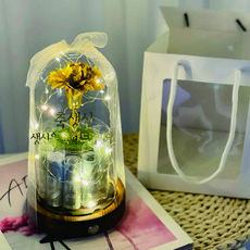 러블리팜 프리저브드 유리돔 무드등, 용돈홀더TYPE, 한송이카네이션_골드, 1개