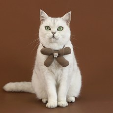 파스텔펫 반려동물 포인트 둥근리본 목줄, 브라운, 1개