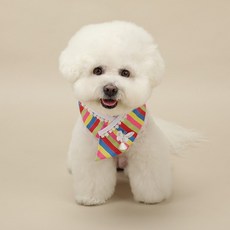 RITOGATO 狗狗蝴蝶彩緞韓服披風, 1個, 彩虹