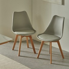 16피스 AC C 인테리어 카페 식탁 에펠 의자 2P 세트, Gray, 2개