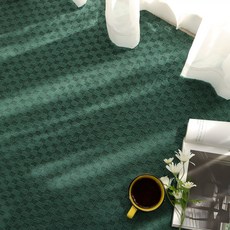 Reciente 精品可水洗地毯