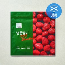 딜라잇가든 칠레산 딸기 (냉동), 1개, 300g