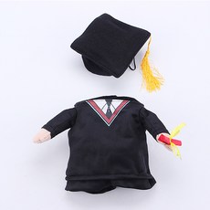 SNS上傳用寵物角色扮演服裝, 教授