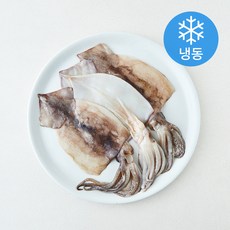 어보선 Fresh 손질 오징어 (냉동), 1개, 450g
