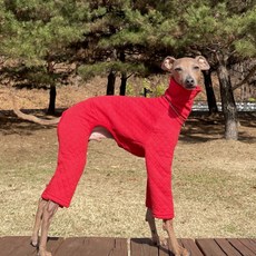 DOGGY STAR 狗狗義大利獵犬 IG 鋪棉 冬季 連身衣, 紅色