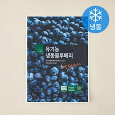 딜라잇가든 칠레산 유기가공식품 인증 블루베리 (냉동), 1개, 700g