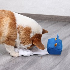 DING DONG PET 狗狗面紙嗅聞娃娃玩具, 藍色, 1個