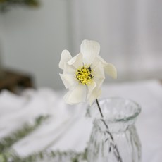 乾燥花 人造花, 01號 白色