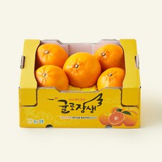 귤로장생 당도선별 천헤향, 2kg(대과), 1개