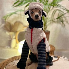 Caniche 狗狗烤栗子帽 + 拉鍊小熊刷毛外套組合, 海軍藍 + 白色