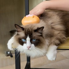 랜보어 반려동물 리본 목욕브러쉬, 오렌지, 1개