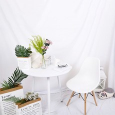 DAEHAN 標準攝影用背景布 2.4 x 3 m, 單一商品(白色), 1個