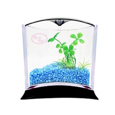 Rora Pet 三角魚缸+人造水草隨機出貨套組, 天藍色