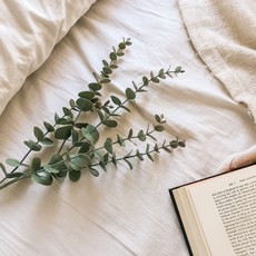 Cozette平鋪尤加利綠色材質人造花乾燥花, 單色