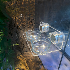 레몽크리프 파충류 크레스티드게코 흡착식 부착식 먹이 물그릇 강력자석 2구 흡착, 1개