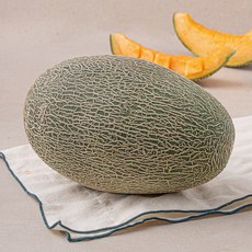 고당도 하미과 메론, 1.8kg, 1개