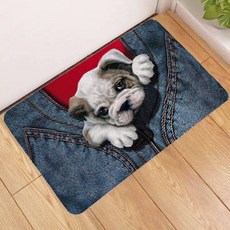 多用途可愛居家門口地墊, 13號