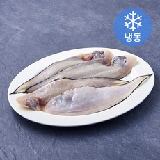 아라장 국내산 군산박대 (냉동), 300g(75g 내외 4미), 1개