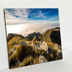 UDP 磁磚畫框 單品 190056