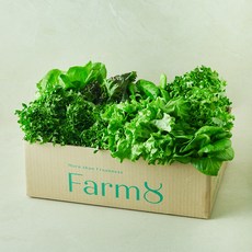 팜에이트 알찬 유러피안 샐러드 꾸러미, 1.2kg, 1개