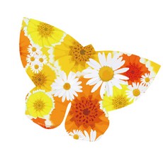 我是風箏花蝴蝶設計放風箏, 1個