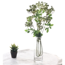 Dawoo F&G 蕾絲花枝 3入, 綠色, 3個