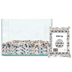 아쿠아테라 튼튼한 미니 전면 곡어항 TS-22P + 플로워링 1kg 세트