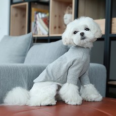 PASTEL PET 寵物愛心簡約T恤, 灰色