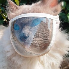 DING DONG PET 貓咪簡易防咬透明頭套 M, 1個, 白色