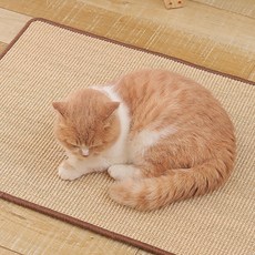 부투펫 고양이 부착형 슬림 스크래쳐, 랜덤 발송, 1개