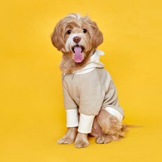 Flot 狗狗Better Life小熊連帽衫, 米色