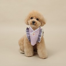 RITOGATO 狗狗花翼披肩韓服背心, 1個, 紫色