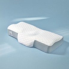 Sleepillow 超高密度記憶棉機能性頸椎枕頭, 1個, 白色(防水內枕套) + 藍色(外枕套)