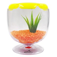 寵物時尚貝塔酒缸魚缸蓋水生植物隨機出貨, 橘子