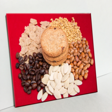 HTP 磁磚 穀物餅乾 C2617