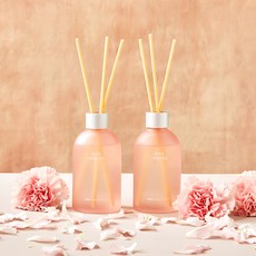 모던하우스 감성 꽃보다어여쁜 디퓨져, 카네이션, 200ml, 2개
