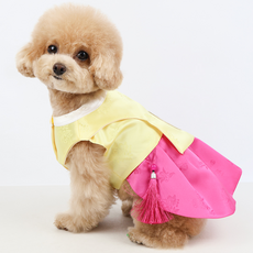Grooming Dog 寵物女童貴族狗狗傳統韓服, 黃色, 1個
