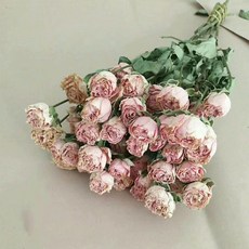 GAPANG 玫瑰乾花 DRYI030, 1 號粉紅色