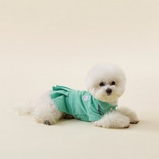 Woolly 寵物狗網球連身裙, 薄荷綠