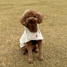 래핑찰리 강아지 히트패딩 케이프, 크림, 1개