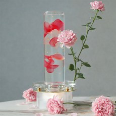 수나컬러풀모먼트 수나샹들리에 오리지널 조명, 핑크(로제)